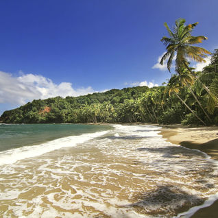 Dominica beach