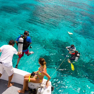 Divers entering the water