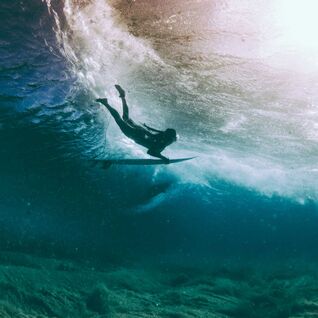 Diver in Hawaii