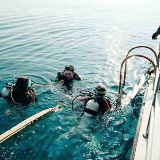 Three scuba divers at the surface.
