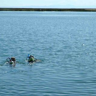 Two Nitrox divers swimming at the surface.