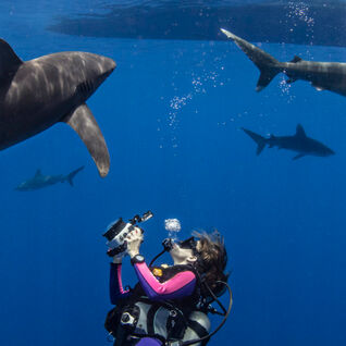 Scuba diving