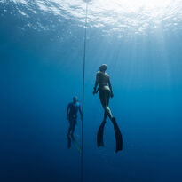 Two free divers underwater