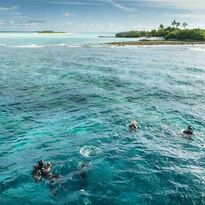 Divers in the Maldives.