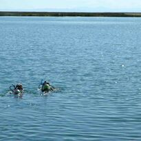 Two Nitrox divers swimming at the surface.