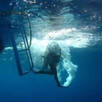 Diver giant stride entry