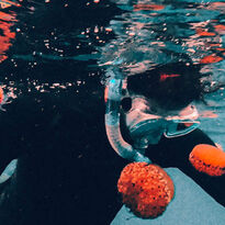 Snorkelling in France