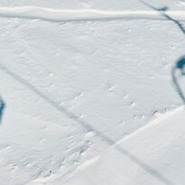 Two ski lifts silhouetted