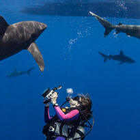 Scuba diving