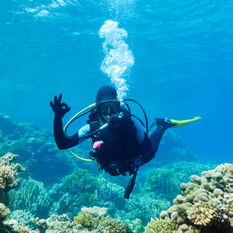 Diving doing 'OK' signal