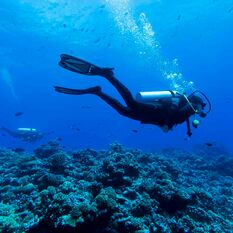 Diver in French Polynesia