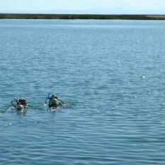 Two Nitrox divers swimming at the surface.