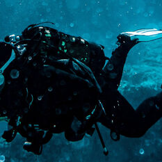 Diving - Maldives
