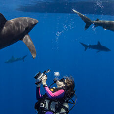 Scuba diving