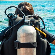 Diver before lesson