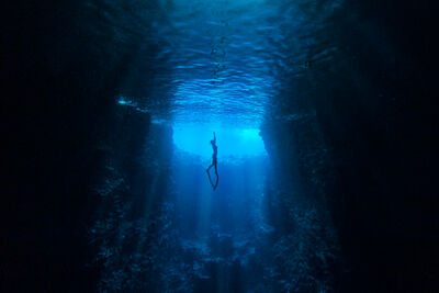 Freediver in the ocean