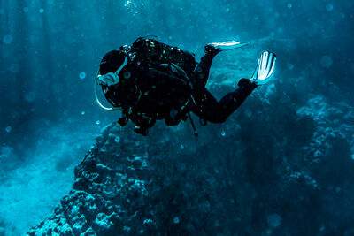 Diver