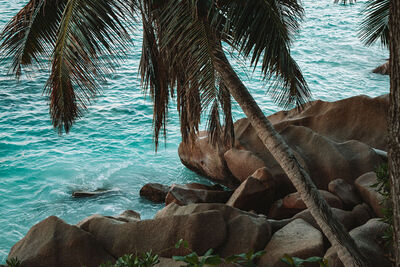 The Seychelles