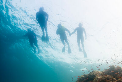 Divers in the Galapagos.