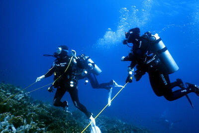 Two divers in the Banda Sea