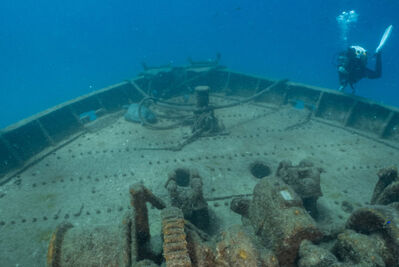 Diver in Fang Ming, La Paz.
