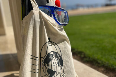 Original Travel tote bag with a snorkel