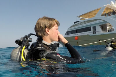 Diver at the surface