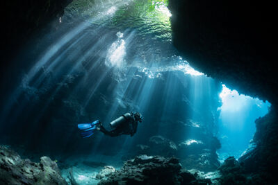 Diver in the Solomon Islands.
