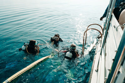 Women diving in the Maldives