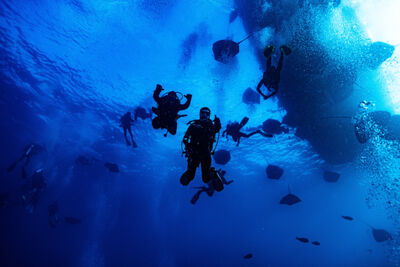 Divers underwater in the Maldives