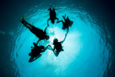 Divers silhouetted in Thailand