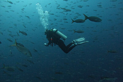 Rachel underwater