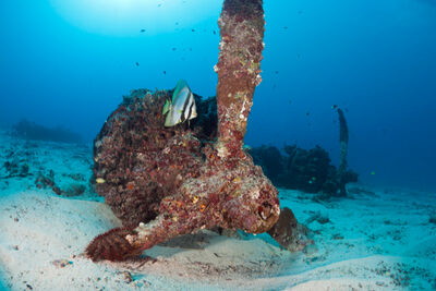 Dive site in Papua New Guinea