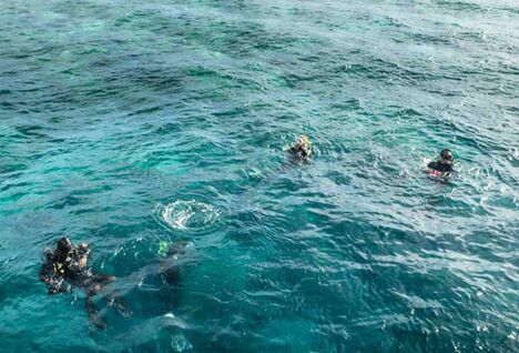Divers in the Maldives.