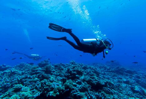 Diver in French Polynesia