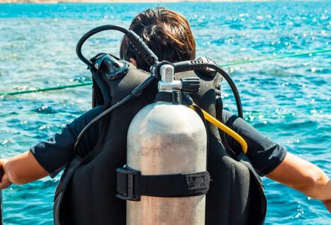 Diver before lesson