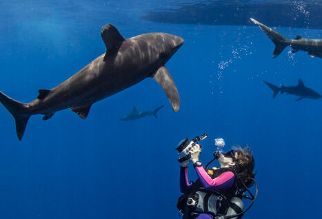Scuba diving