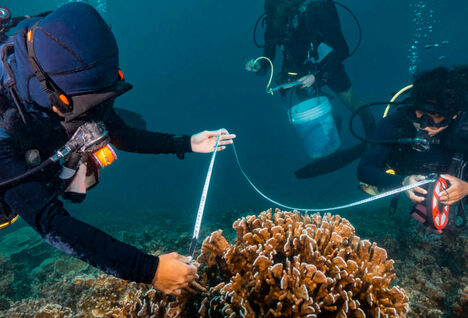 Ocean conservation