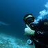 Diver diving in Malapascua.