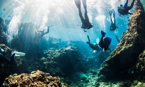 Divers at Maeda Point, Okinawa.