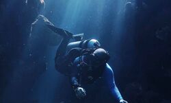 Diver in Jeddah, Saudi Arabia.