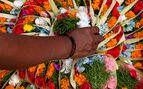 Flowers in Bali