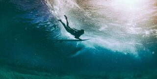 Diver in Hawaii
