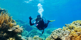 Diving doing 'OK' signal
