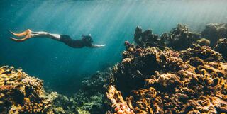 Diver in the Red Sea.