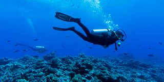 Diver in French Polynesia