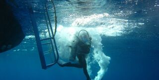 Diver giant stride entry