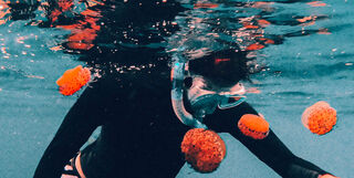 Snorkelling in France