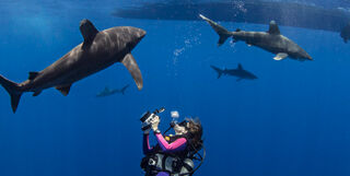 Scuba diving