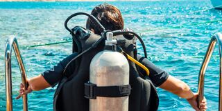 Diver before lesson